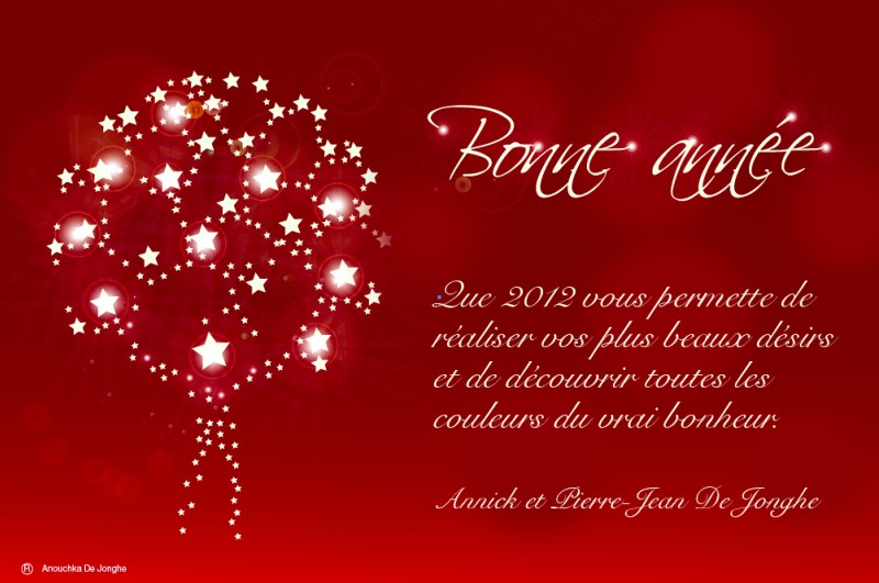 Bonne année 2012