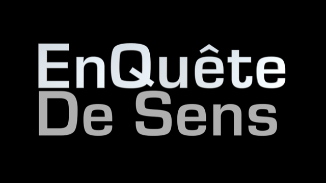 Logo EnQuête de Sens